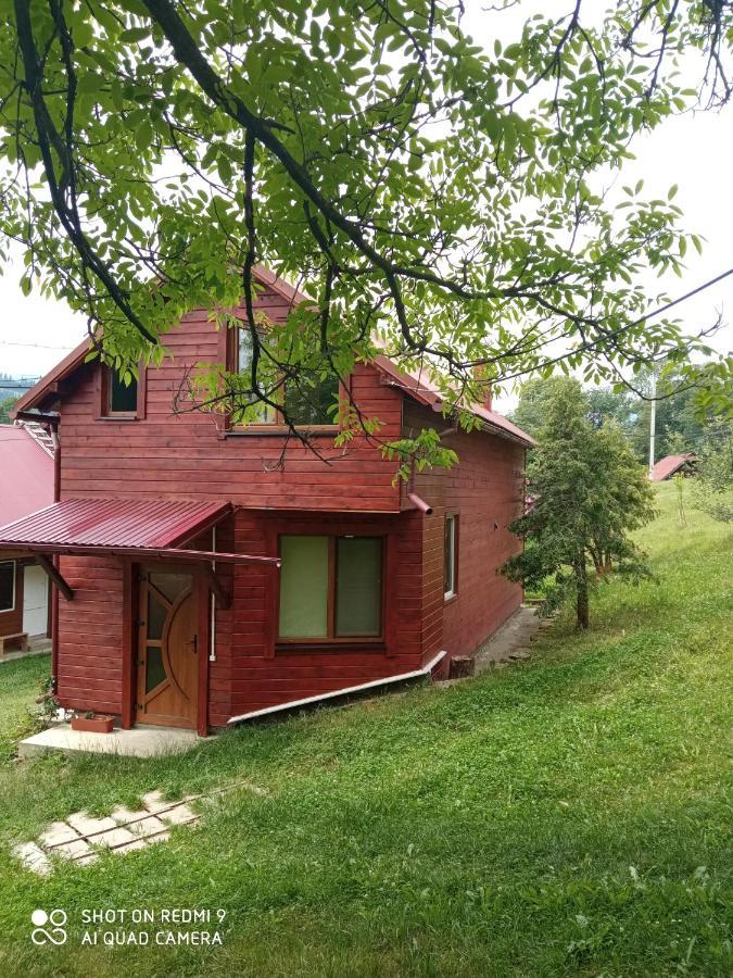 Котедж "Барвінок" Verkhovyna Exterior photo