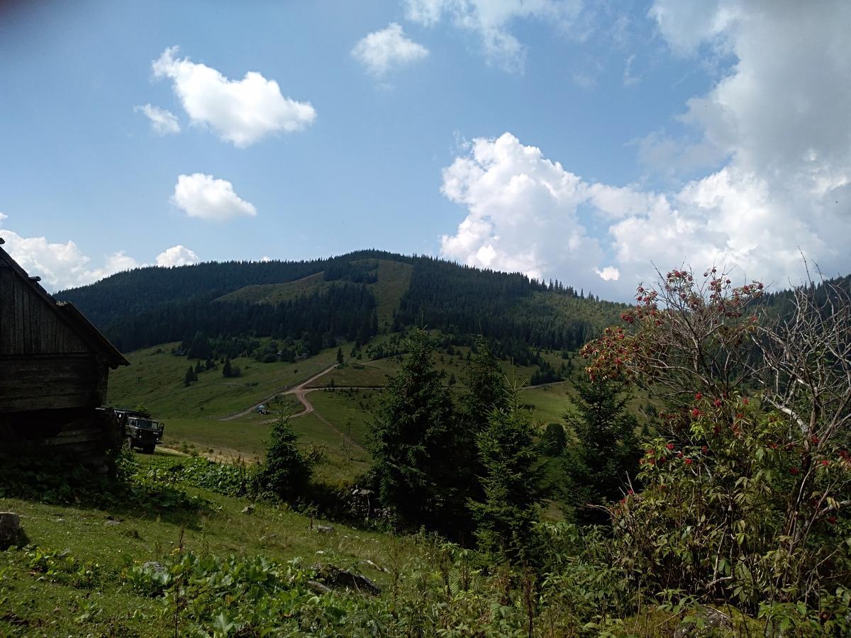 Котедж "Барвінок" Verkhovyna Exterior photo