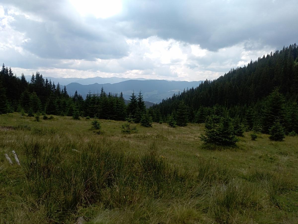 Котедж "Барвінок" Verkhovyna Exterior photo